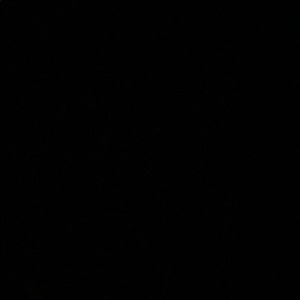 Meet your Posher, Latriceia